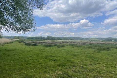 Property for auction in Avon