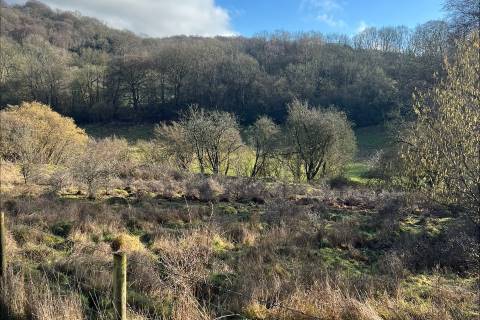 Property for auction in Kent