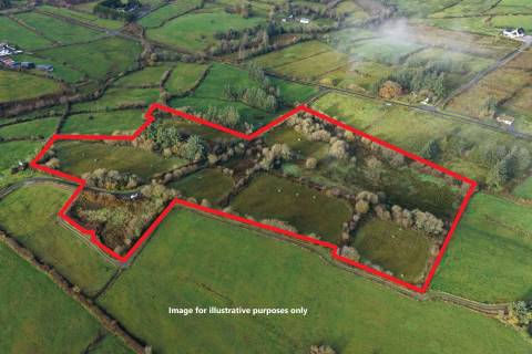 Property for auction in County Cavan