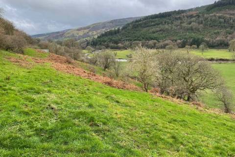 Property for auction in Clwyd