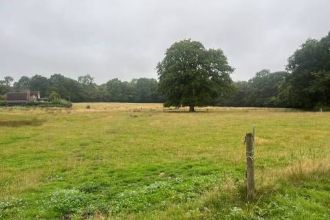Property for auction in East Sussex