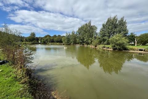 Property for auction in Somerset
