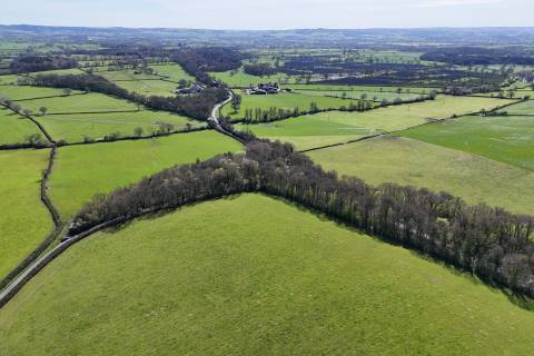 Property for auction in Dorset