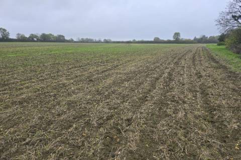 Property for auction in Bedfordshire