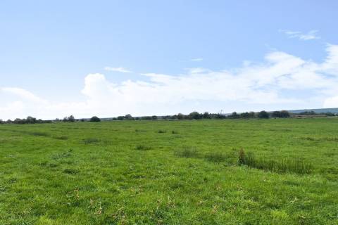 Property for auction in Somerset