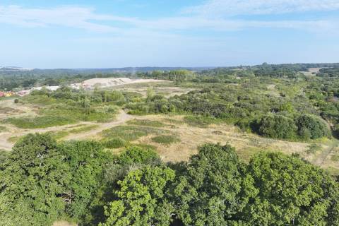 Property for auction in Hampshire