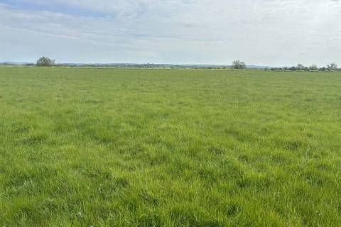 Property for auction in Somerset